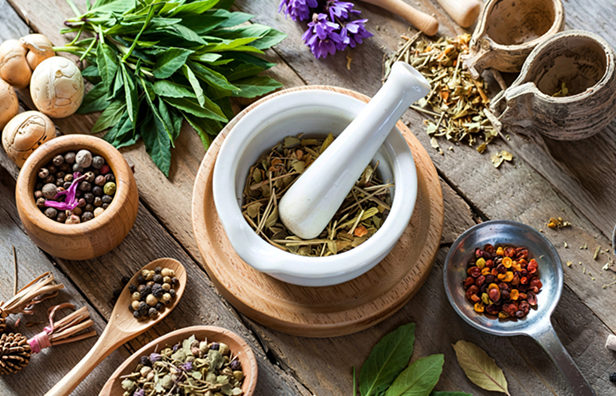 Natural herbs, spices, and traditional healing ingredients used in naturopathy treatment for diabetes and metabolic balance