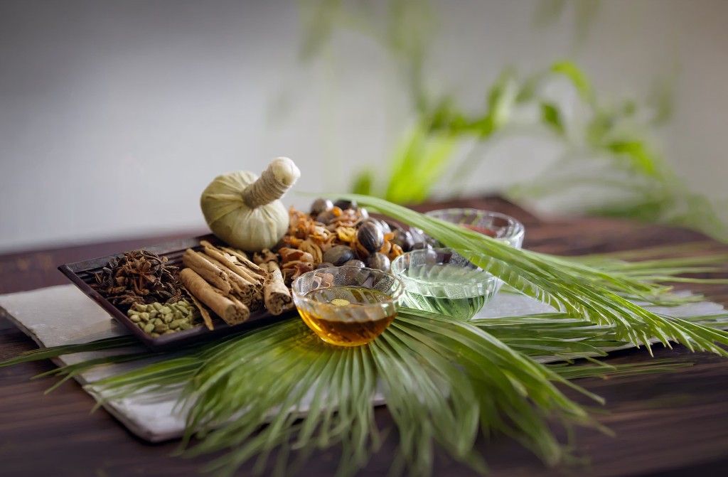 Traditional Ayurvedic herbs, oils, and natural healing tools used in naturopathy for diabetes care at SOUKYA